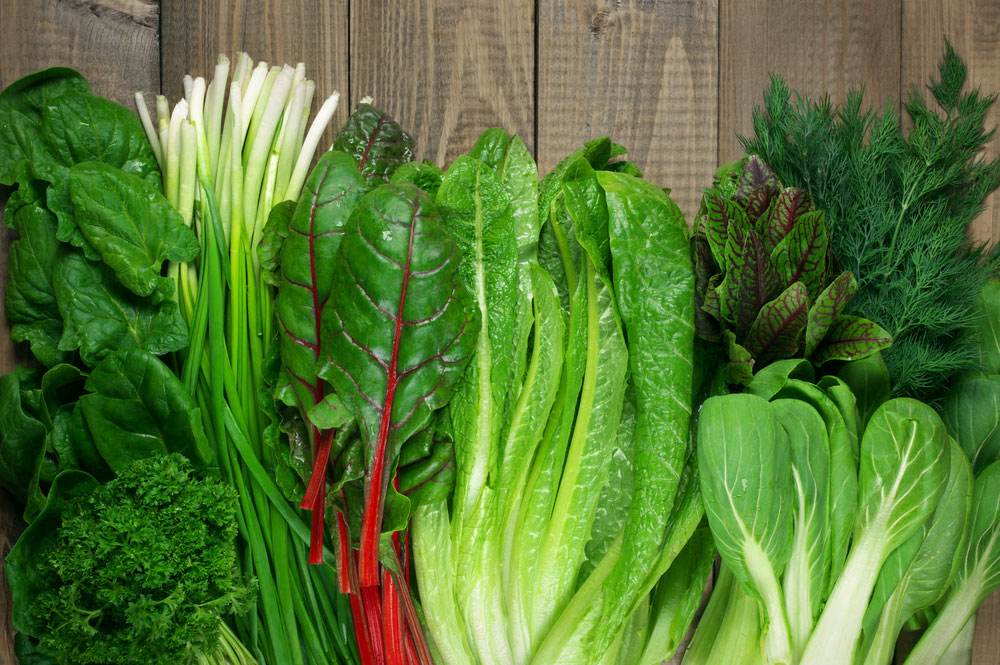 15 Green Vegetables That Are Great For You On The Table